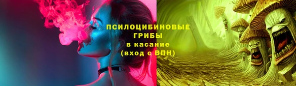 стафф Гусь-Хрустальный
