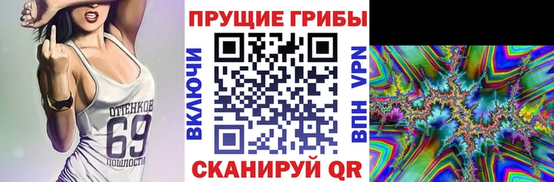 Галлюциногенные грибы MAGIC MUSHROOMS  Купить закладки  Новокубанск 